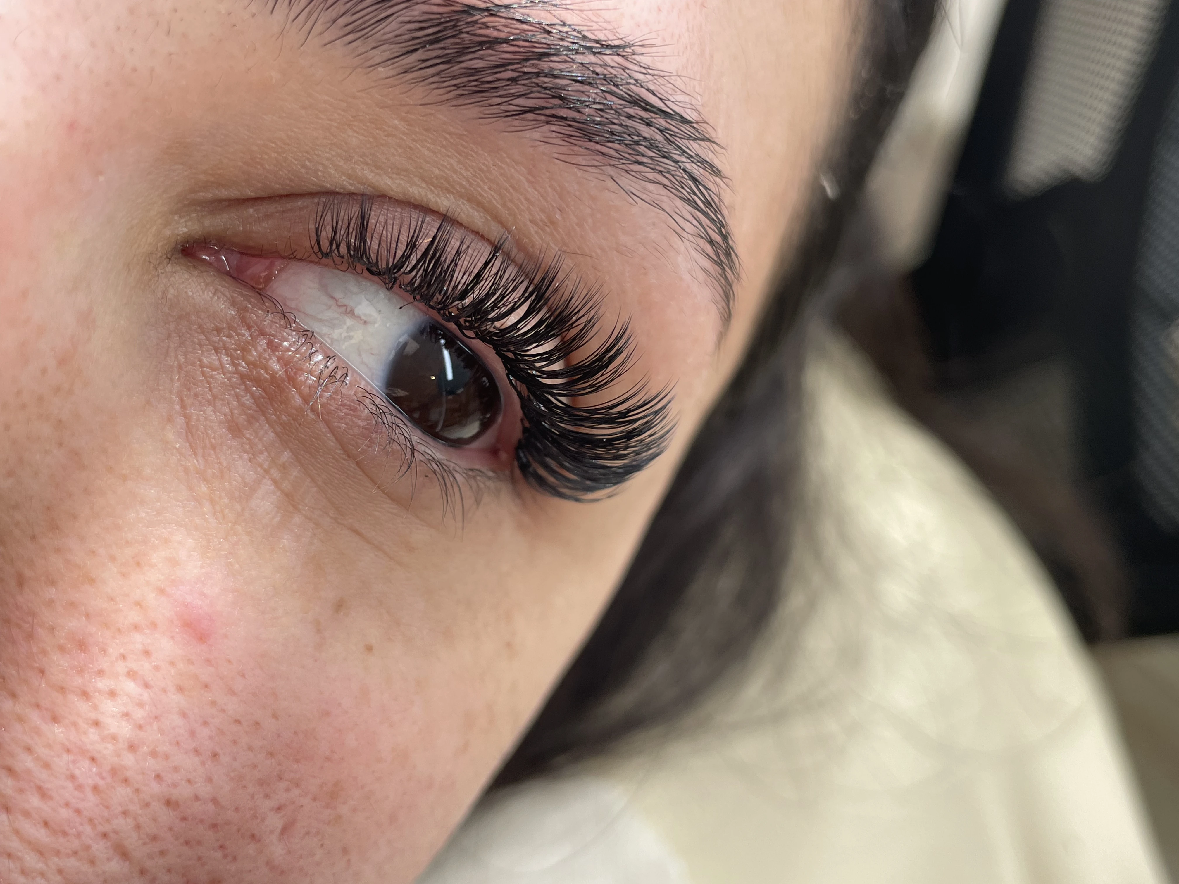 Light hybrid 2D lash set with dramatic upward curl and full dark brow on brown eyes at My Beauty Space.